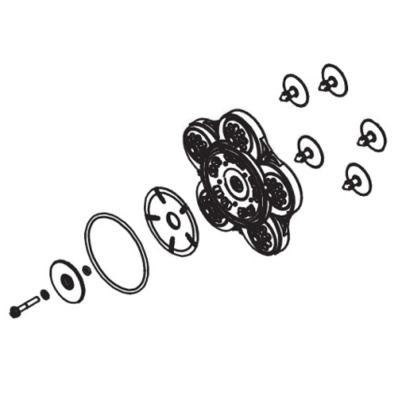Комплект мембраны насосной камеры Piusi 1224V 3.5